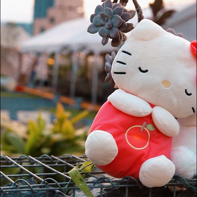 Portable Snuggle Plush Buddy for Sleep